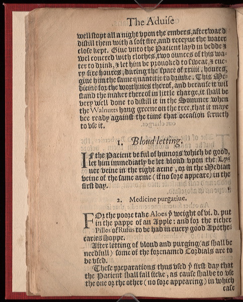 Page 1 of the Plague Book